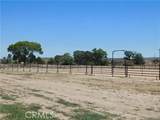 48805 Leaning Rock - Photo 33