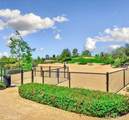 264 Tanglewood Drive - Photo 44