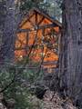 667 Dogwood Cyn - Photo 48