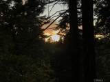 667 Dogwood Cyn - Photo 51