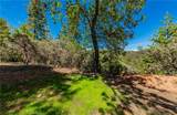 53235 Finegold Creek Court - Photo 47
