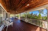 53235 Finegold Creek Court - Photo 53