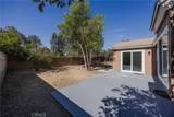 12623 Fuchsia Drive - Photo 19