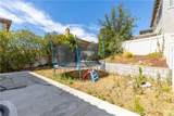 35356 Trevino - Photo 21