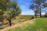 7738 Madrilena Way - Photo 44