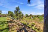 7738 Madrilena Way - Photo 45