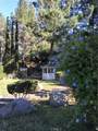 1751 Citracado - Photo 37