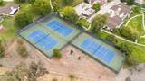 803 Palm - Photo 51