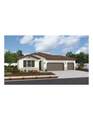 25447 Gladbeck Street - Photo 1