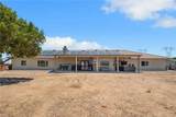 6910 Oak Vista Lane - Photo 41