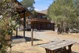 3300 Cook Peak - Photo 39