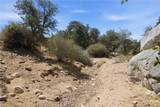 3300 Cook Peak - Photo 42