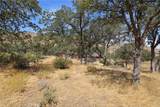 3300 Cook Peak - Photo 48