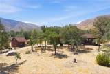 3300 Cook Peak - Photo 49