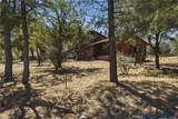 3300 Cook Peak - Photo 68