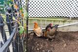1178 18th Street - Photo 62