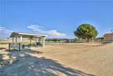 42385 Roundup - Photo 67