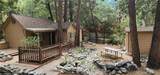 9373 Quercus - Photo 1