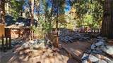 9373 Quercus - Photo 4
