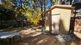 9373 Quercus - Photo 5