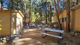 9373 Quercus - Photo 6