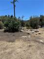 248 Bodfish Canyon - Photo 11