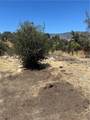 248 Bodfish Canyon - Photo 4