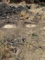248 Bodfish Canyon - Photo 7