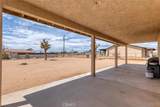 58333 Campanula Street - Photo 25