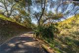 2923 Nuestra - Photo 31