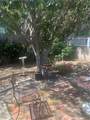 1567 La Salle - Photo 11