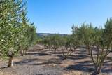 2970 El Coyote Run - Photo 28