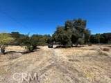32539 Camino Moro - Photo 21