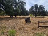 32539 Camino Moro - Photo 5