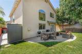 29831 Platanus - Photo 34