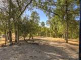 4139 Vista Grande Way - Photo 47