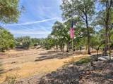 4139 Vista Grande Way - Photo 48