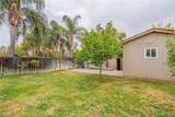 1545 Palma Bonita - Photo 44