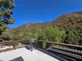 30141 Silverado Canyon Road - Photo 9
