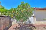1430 Orange Tree Lane - Photo 37