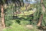 30349 Cool Valley Lane - Photo 46