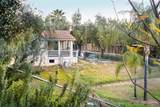 30349 Cool Valley Lane - Photo 48