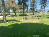 11720 Malagon Drive - Photo 39