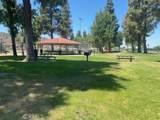 11720 Malagon Drive - Photo 41