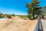 2333 Vista Ridge - Photo 39