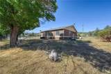 17002 Acacia - Photo 41
