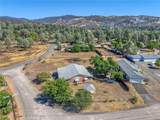 17002 Acacia - Photo 42