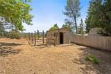 39749 Pine Ridge Road - Photo 40