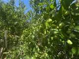 2925 Lemon Street - Photo 31
