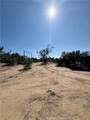 15872 Muscatel - Photo 41